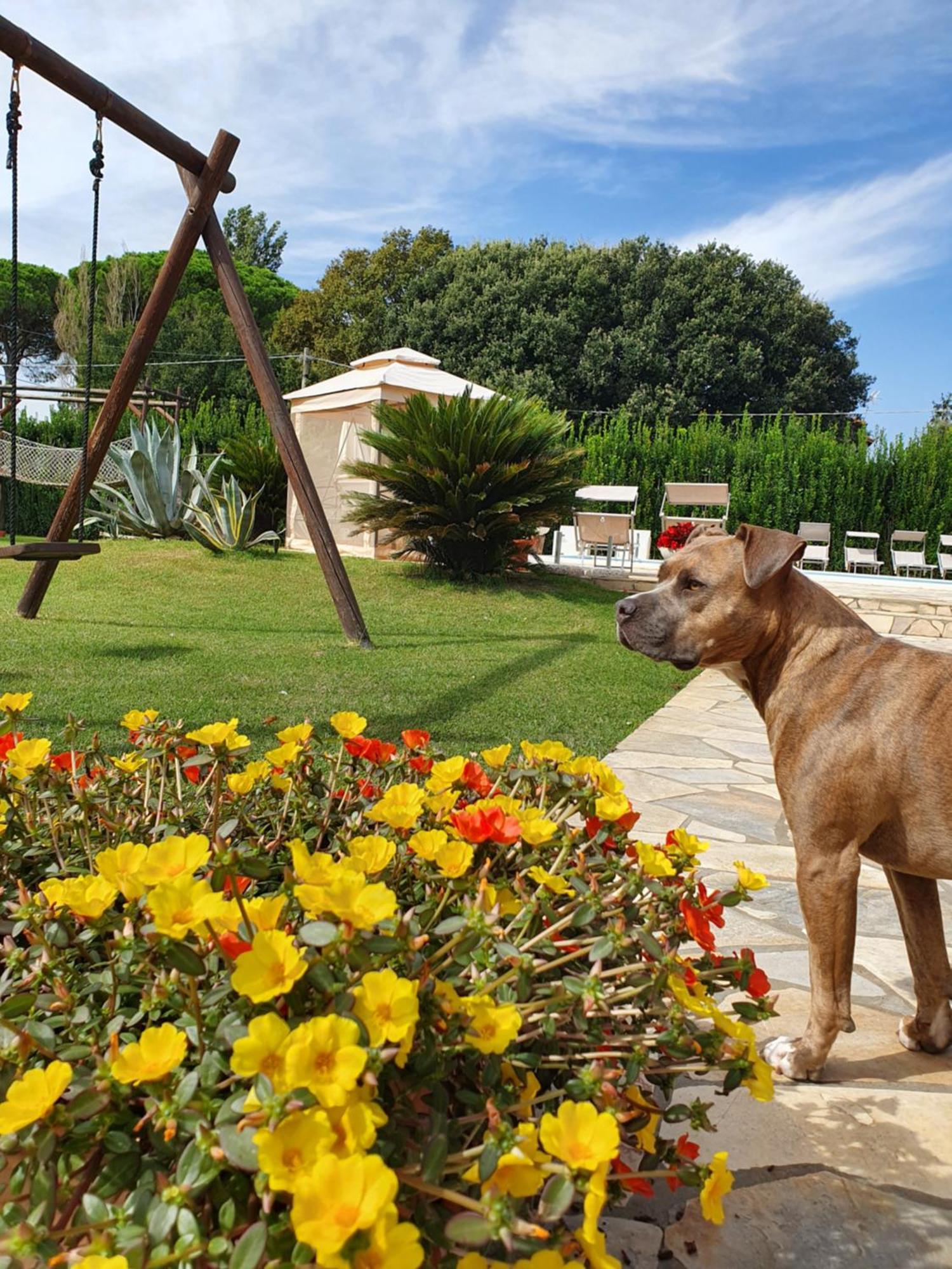 La Taverna Apartment Mesola ภายนอก รูปภาพ